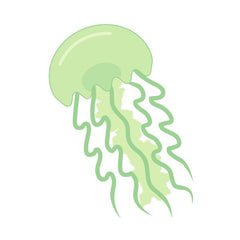Jely Fish