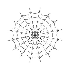 Spider Web